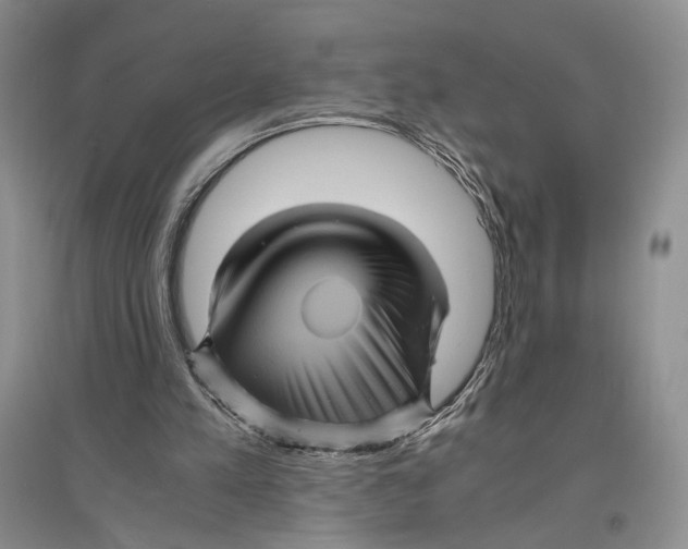 X0000096420197200802211131