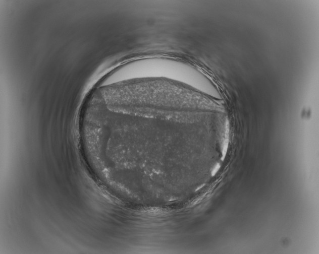 X0000096420198200802211131