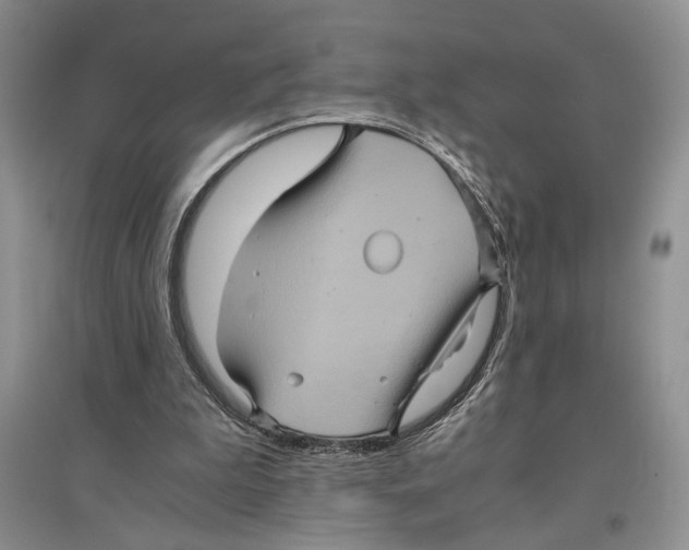 X0000096420199200802211131