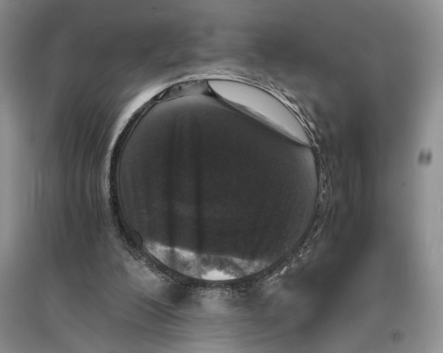 X0000096420200200802211131