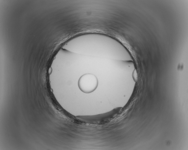 X0000096420201200802211131