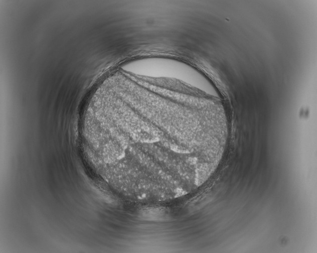 X0000096420202200802211131