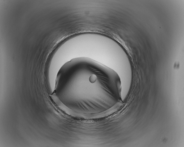 X0000096420203200802211131