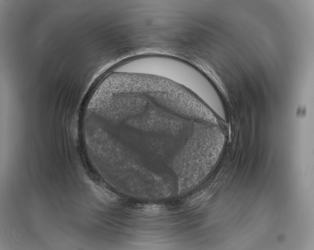 X0000096420204200802211131