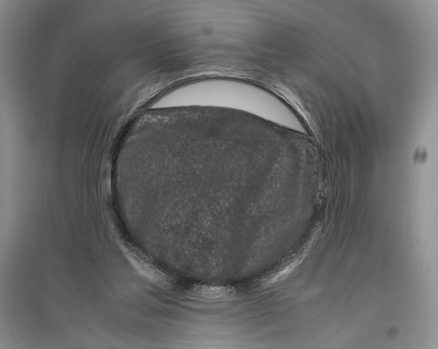 X0000096420205200802211131