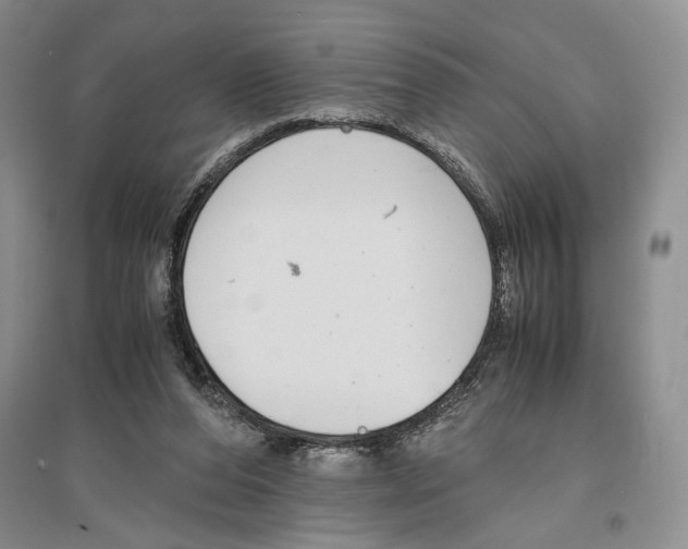 X0000096420208200802211131