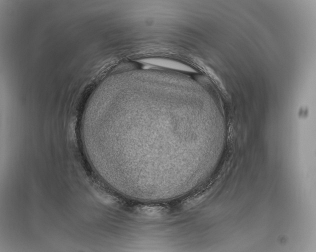 X0000096420209200802211131