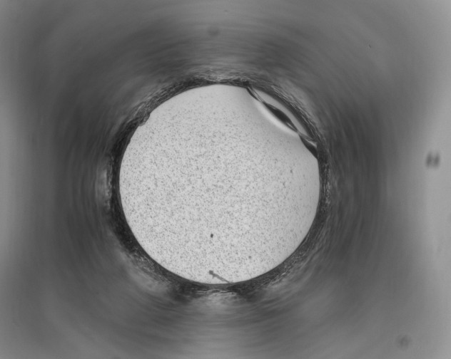 X0000096420210200802211131