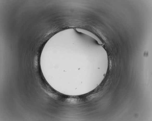 X0000096420211200802211131