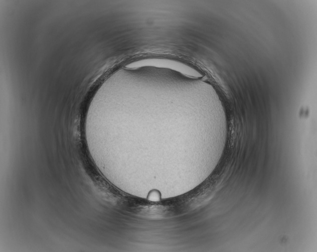 X0000096420212200802211131