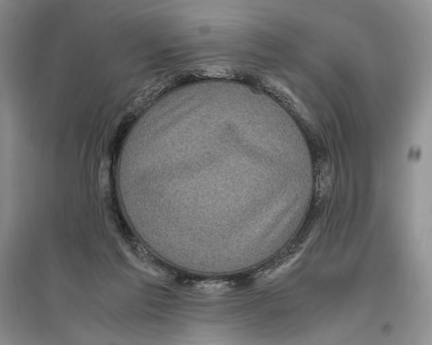 X0000096420213200802211131