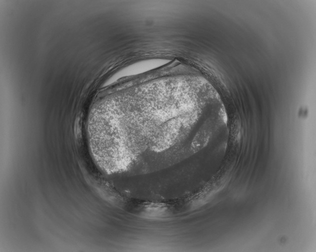 X0000096420214200802211131