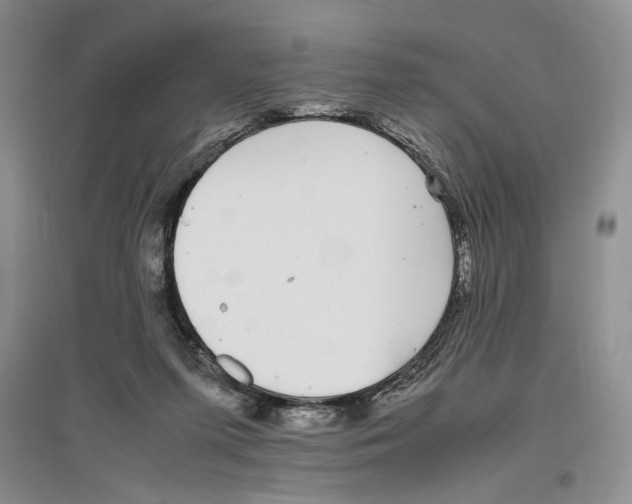 X0000096420215200802211131