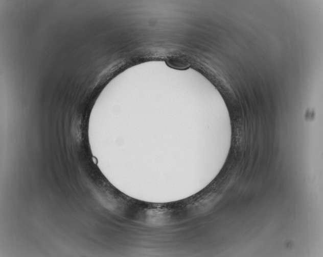X0000096420216200802211131