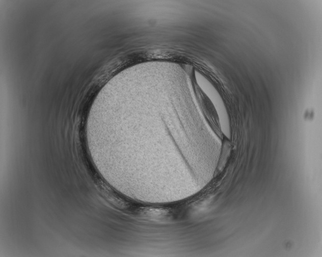 X0000096420217200802211131