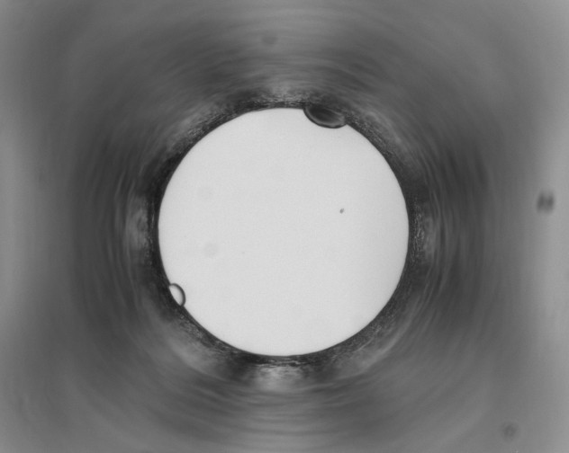 X0000096420220200802211131