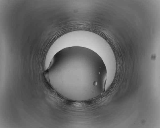 X0000096420221200802211131