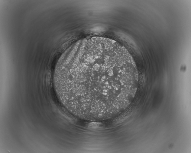 X0000096420222200802211131
