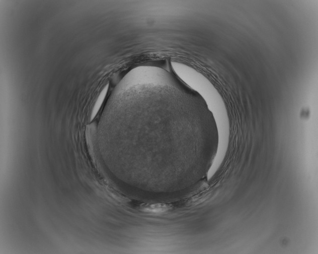 X0000096420223200802211131