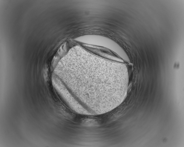 X0000096420224200802211131
