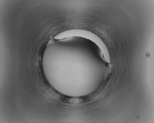 X0000096420225200802211131