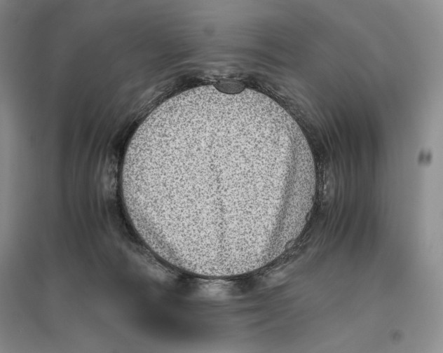 X0000096420226200802211131