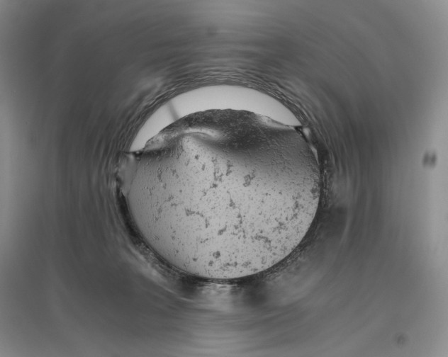 X0000096420227200802211131
