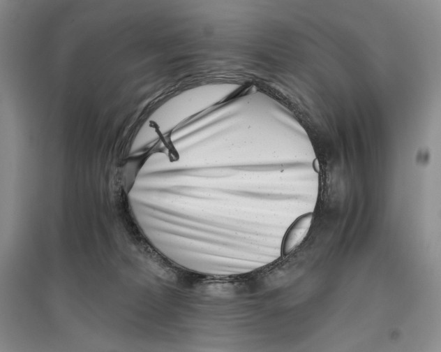 X0000096420228200802211131