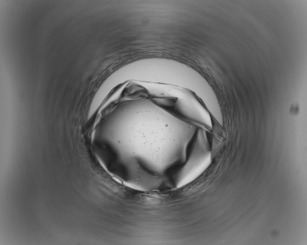 X0000096420229200802211131
