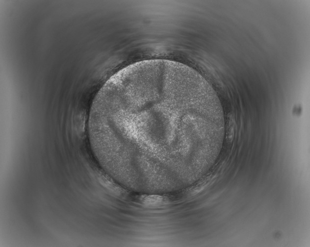 X0000096420230200802211131
