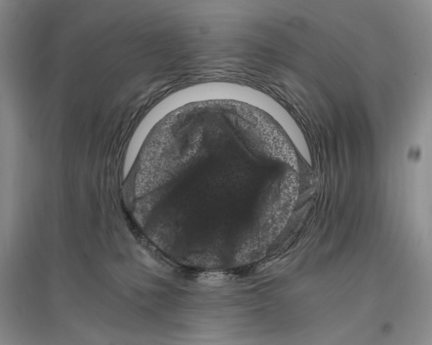X0000096420231200802211131