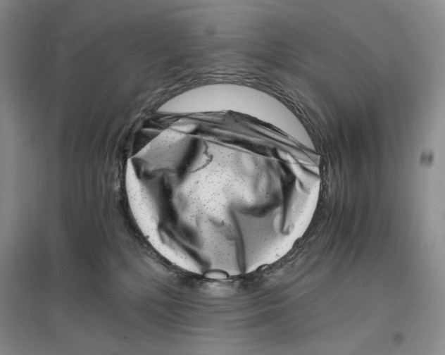 X0000096420232200802211131