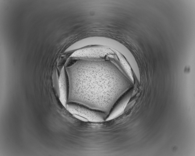 X0000096420233200802211131