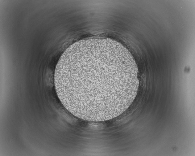 X0000096420234200802211131