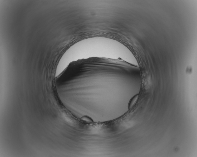 X0000096420235200802211131