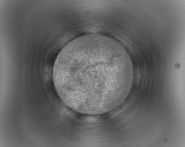 X0000096420236200802211131
