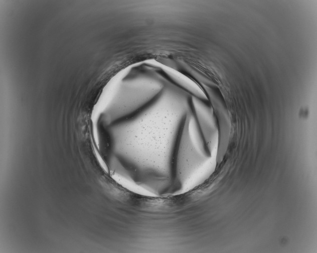X0000096420237200802211131