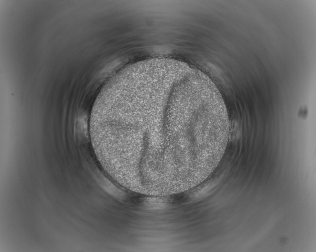 X0000096420238200802211131