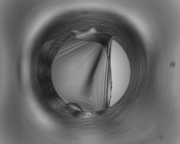X0000096420239200802211130