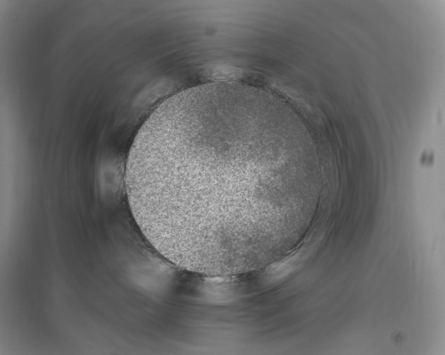 X0000096420240200802211130
