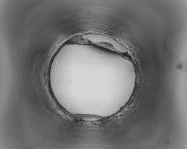 X0000096420241200802211130