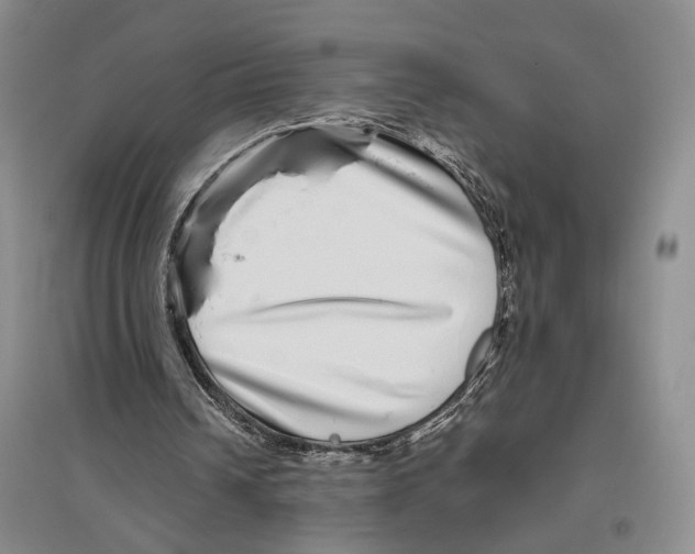 X0000096420242200802211130