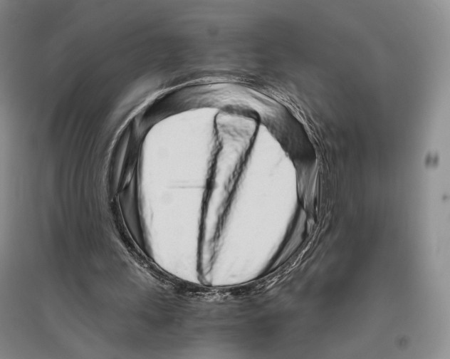 X0000096420243200802211130