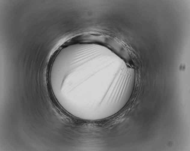 X0000096420244200802211130