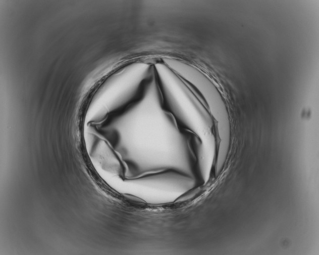 X0000096420245200802211130