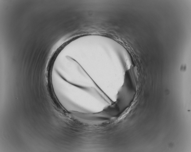 X0000096420246200802211130