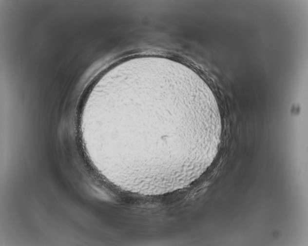 X0000096420247200802211130