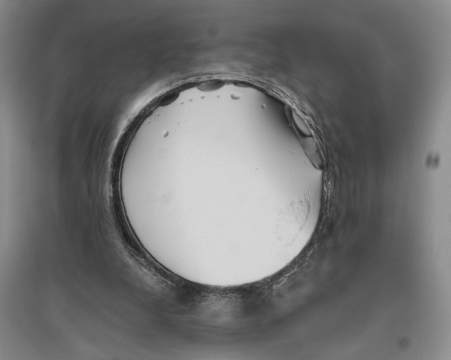 X0000096420248200802211130
