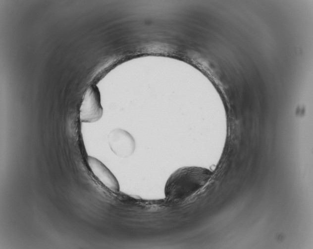 X0000096420249200802211130