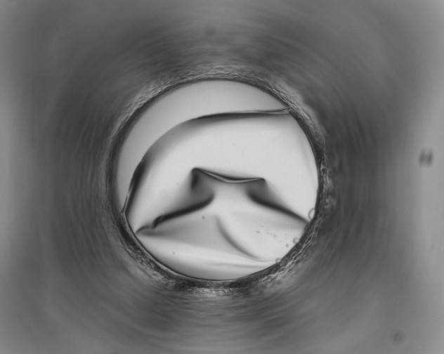 X0000096420250200802211130